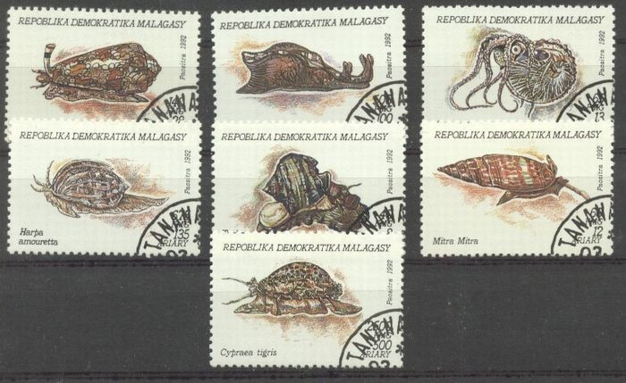 Madagascar 1993 Molluscs, used AH.049