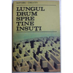 LUNGUL DRUM SPRE TINE INSUTI de SEPTIMIU CHELCEA , 1988