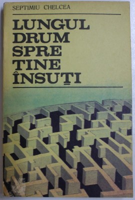 LUNGUL DRUM SPRE TINE INSUTI de SEPTIMIU CHELCEA , 1988 foto