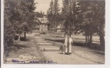 Carte postala necirculata din jurul anului 1900 Paltinis