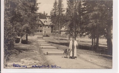 Carte postala necirculata din jurul anului 1900 Paltinis foto