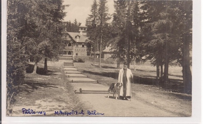 Carte postala necirculata din jurul anului 1900 Paltinis