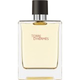 HERM&Egrave;S Terre d&rsquo;Herm&egrave;s Eau de Toilette pentru bărbați 100 ml