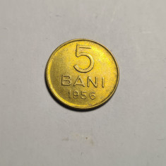 5 bani 1956 Aunc