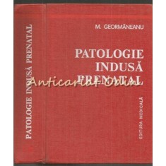 Patologie Indusa Prenatal - M. Geormaneanu