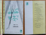 Sorin Titel , Copacul ; Colectia Luceafarul , editia 1 , 1963 , debut