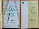 Sorin Titel, Copacul ; Colectia Luceafarul, editia 1, 1963, debut
