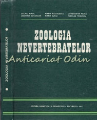 Zoologia Nevertebratelor - Zachiu Matic, Maria Nastasescu, Constantin Pisica foto