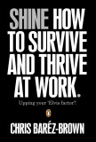 Shine - How To Survive And Thrive At Work | Chris Barez-Brown