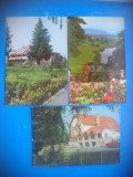 HOPCT LOT 3851 -3 CARTI POSTALE-IZVORUL MURESULUI -JUD-HARGHITA-NE CIRCULATE, Necirculata, Printata