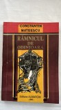 R&Acirc;MNICUL DE ODINIOARĂ - CONSTANTIN MATEESCU