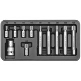 Yato YT-0415 - Set capete de insurubare profil SPLINE 11 bucati