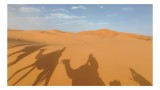Tablou Canvas Umbre călătoare pe nisipuri aurii siluete camel, 39 x 26 cm, CMCLASS
