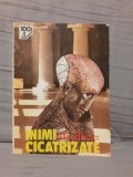 Max Blecher - Inimi Cicatrizate (Roman) - Editura Gramar, 1995, Brosat. Colectia 100+1 Capodopere Romaneasca