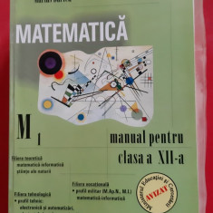 MATEMATICA M1 MANUAL PENTRU CLASA A XII A -BURTEA