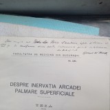TEZA DOCTORAT BENEDIKT MENKES CU DEDICATIE SI SEMNATURA-1930 R4.