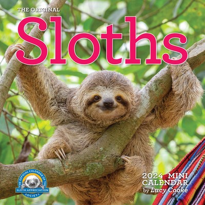 Original Sloths Mini Wall Calendar 2024 foto
