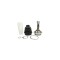 Cap planetara PEUGEOT 206 hatchback 2A C CIFAM 607-568