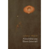 A konyh&aacute;ban meg Elmore James sz&oacute;l - Juh&aacute;sz M&aacute;ri&oacute;