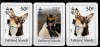 3 calendare Ins. Falkland, caine, pinguin, 2024/2025, stare foarte buna