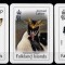 3 calendare Ins. Falkland, caine, pinguin, 2024/2025, stare foarte buna