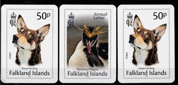 3 calendare Ins. Falkland, caine, pinguin, 2024/2025, stare foarte buna