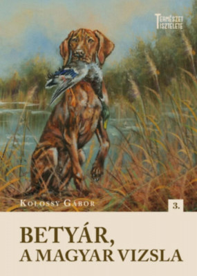 Bety&amp;aacute;r, a magyar vizsla - Kolossy G&amp;aacute;bor foto