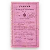 Brevet pentru v&acirc;nzarea de băuturi spirtoase, 1914