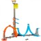 HOT WHEELS ACTION PISTA CAMPIONILOR