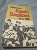 AGONIA ROMANIEI 1944-1948-NICOLAE BACIU