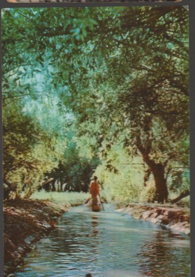 CPIB 19212 CARTE POSTALA - VEDERE DIN DELTA DUNARII, RPR foto