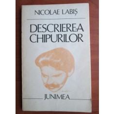 Nicolae Labis - Descrierea chipurilor