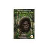 What Do We Know about Bigfoot?