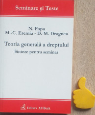 Teoria generala a dreptului SInteze pentru seminar N Popa Eremia Dragnea foto