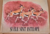 Carte de povesti - Si ele sunt Antilope I. Akimuskin 1977