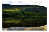 Tablou Canvas, "Reflexii aurii pe lac &icirc;nserat", Reflexie, Verdeață, Munți, Apus, Liniște, Natura, Peisaj, Pădure, 39 x 26 cm, CMCLASS