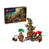 LEGO HARRY POTTER PLANTE PENTRU ORA DE IERBOLOGIE DE LA HOGWARTS 76474