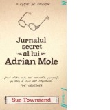 Jurnalul secret al lui Adrian Mole (paperback) - Sue Townsend
