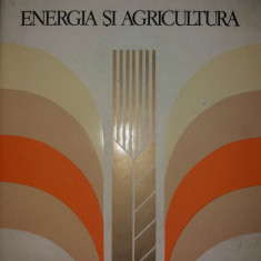 ION TESU - VASILE BAGHINSCHI - ENERGIA SI AGRICULTURA {1984}