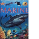 Animale marine pe intelesul copiilor - Emilie Beaumont, Marie-Christine Lemayeur