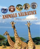 Animale sălbatice - Paperback brosat - *** - Aquila