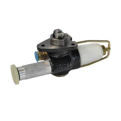 Pompa Alimentare Raba 44992 70189 foto