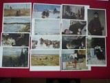 CARTE POSTALA STRAINE LOT 14 BUC RUSIA, ARTA, Necirculata, Printata