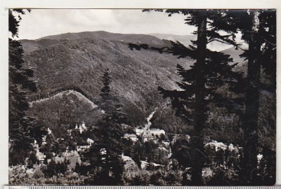 bnk cp Sinaia - Vedere spre Valea Rea - circulata foto