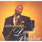 Vinil David Peaston &ndash; Introducing... (G+)