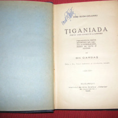 TIGANIADA - I. BUDAI DELEANU - 1928 - Gh. Cardas