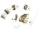 Polonia 1985 - Fauna WWF, lupi, serie plicuri prima zi