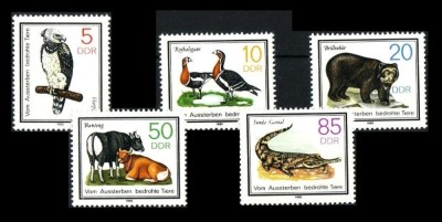 DDR 1985 - Fauna protejata, animale, serie neuzata foto