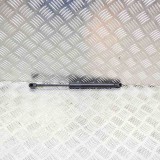 Amortizor Haion Stanga Tesla Model 3 2018 OEM 1091560-00-B Garantie 12 Luni