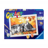 Pictura pe numere Pisicute Somnoroase Creart, +9 ani, Ravensburger